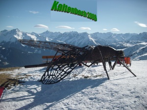 Kaltenbach_2008