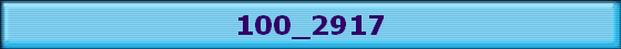 100_2917