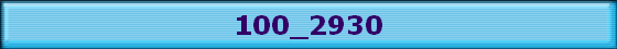 100_2930