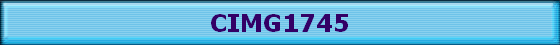 CIMG1745