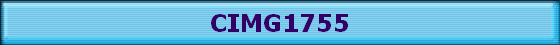 CIMG1755