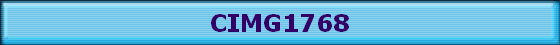 CIMG1768