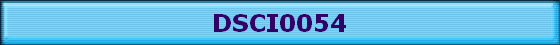 DSCI0054