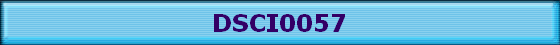 DSCI0057