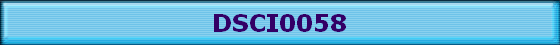 DSCI0058