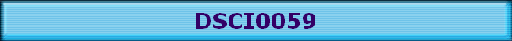DSCI0059