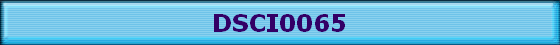 DSCI0065