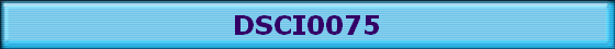 DSCI0075