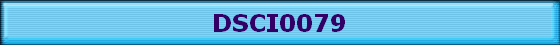 DSCI0079