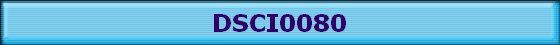 DSCI0080