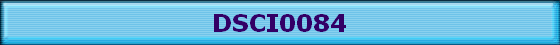 DSCI0084