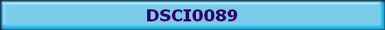DSCI0089