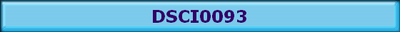 DSCI0093
