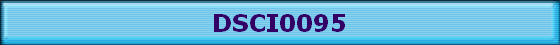 DSCI0095
