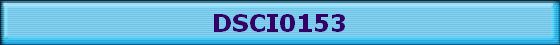 DSCI0153