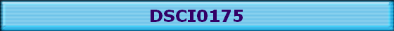 DSCI0175