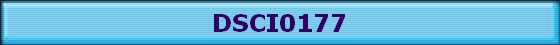 DSCI0177