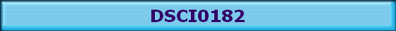DSCI0182