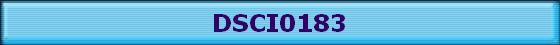 DSCI0183