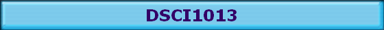 DSCI1013