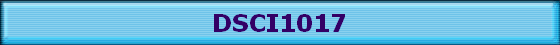 DSCI1017