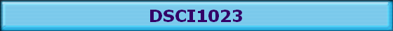 DSCI1023