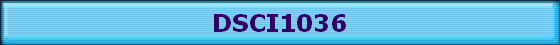 DSCI1036