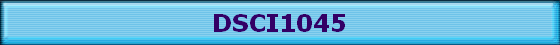 DSCI1045