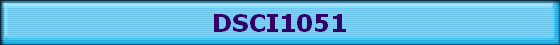 DSCI1051