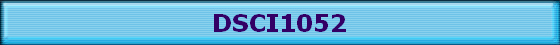 DSCI1052