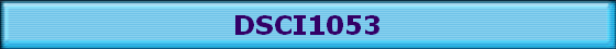 DSCI1053