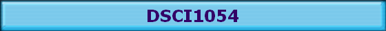 DSCI1054