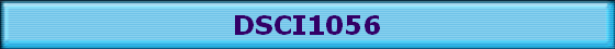 DSCI1056