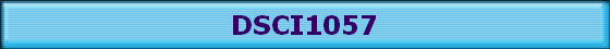 DSCI1057