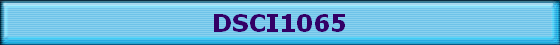 DSCI1065
