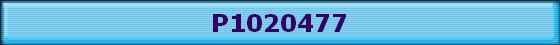 P1020477