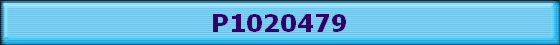 P1020479