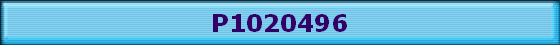 P1020496