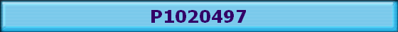 P1020497