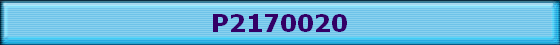 P2170020