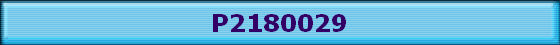 P2180029