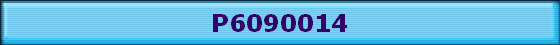 P6090014
