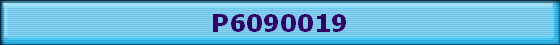 P6090019