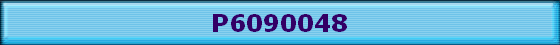 P6090048