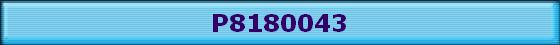 P8180043
