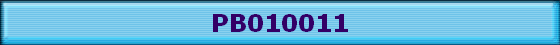 PB010011