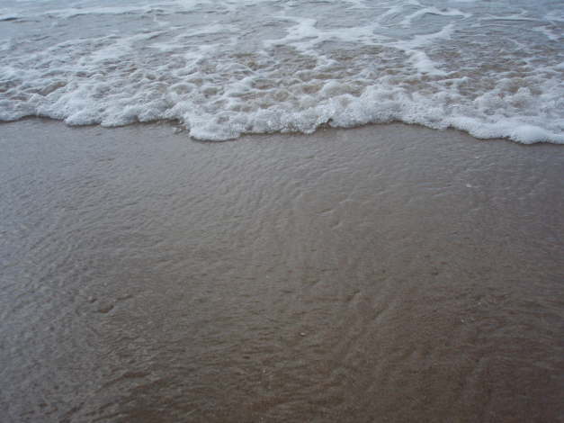 P5310029